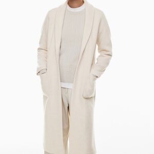 Aritzia Merino Wool Coat